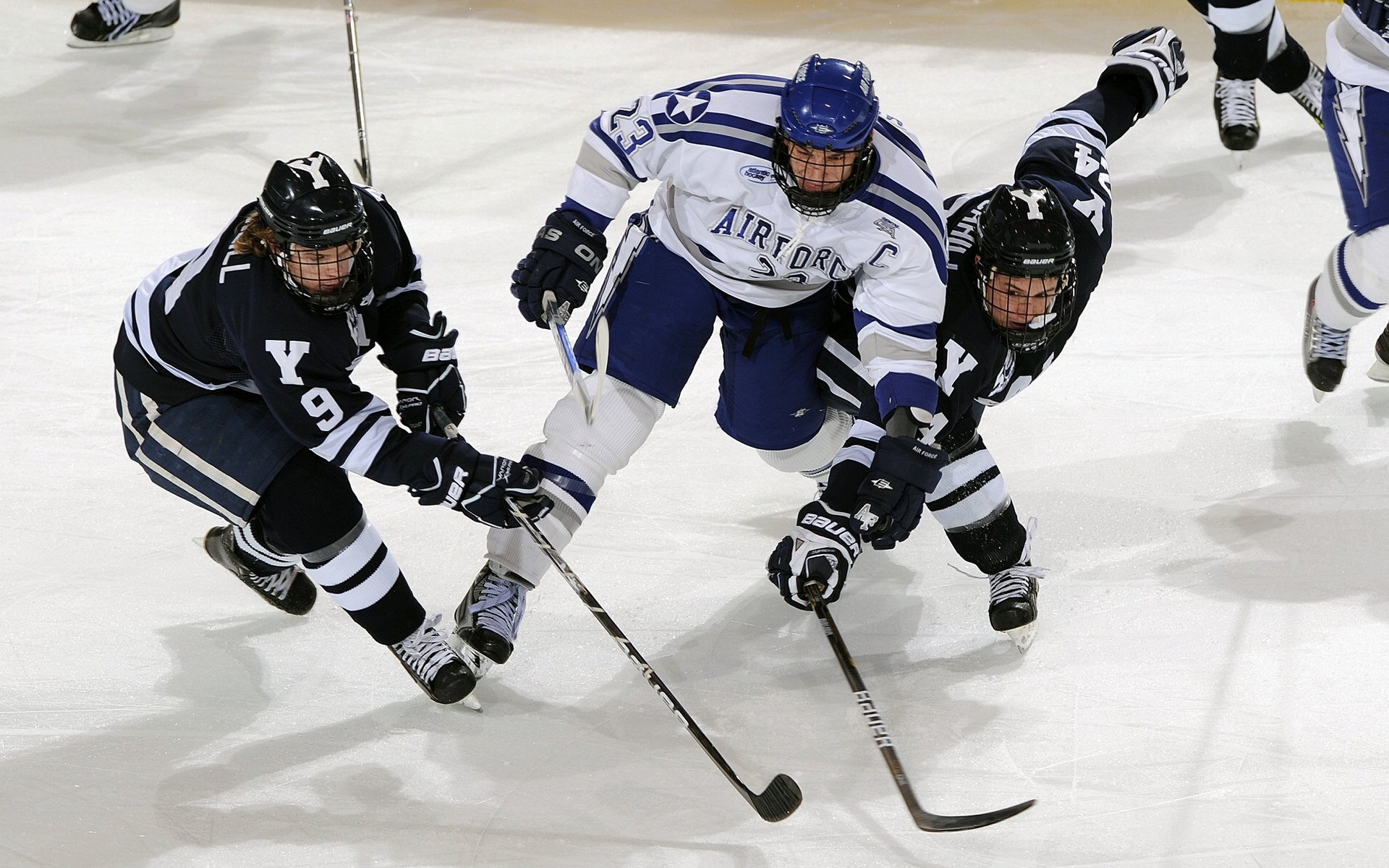 橄榄球成为新兴社交运动，橄榄球发展现状